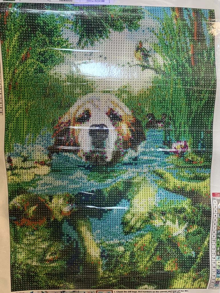 DOG SWIMMING 5D 30X40 ROUND