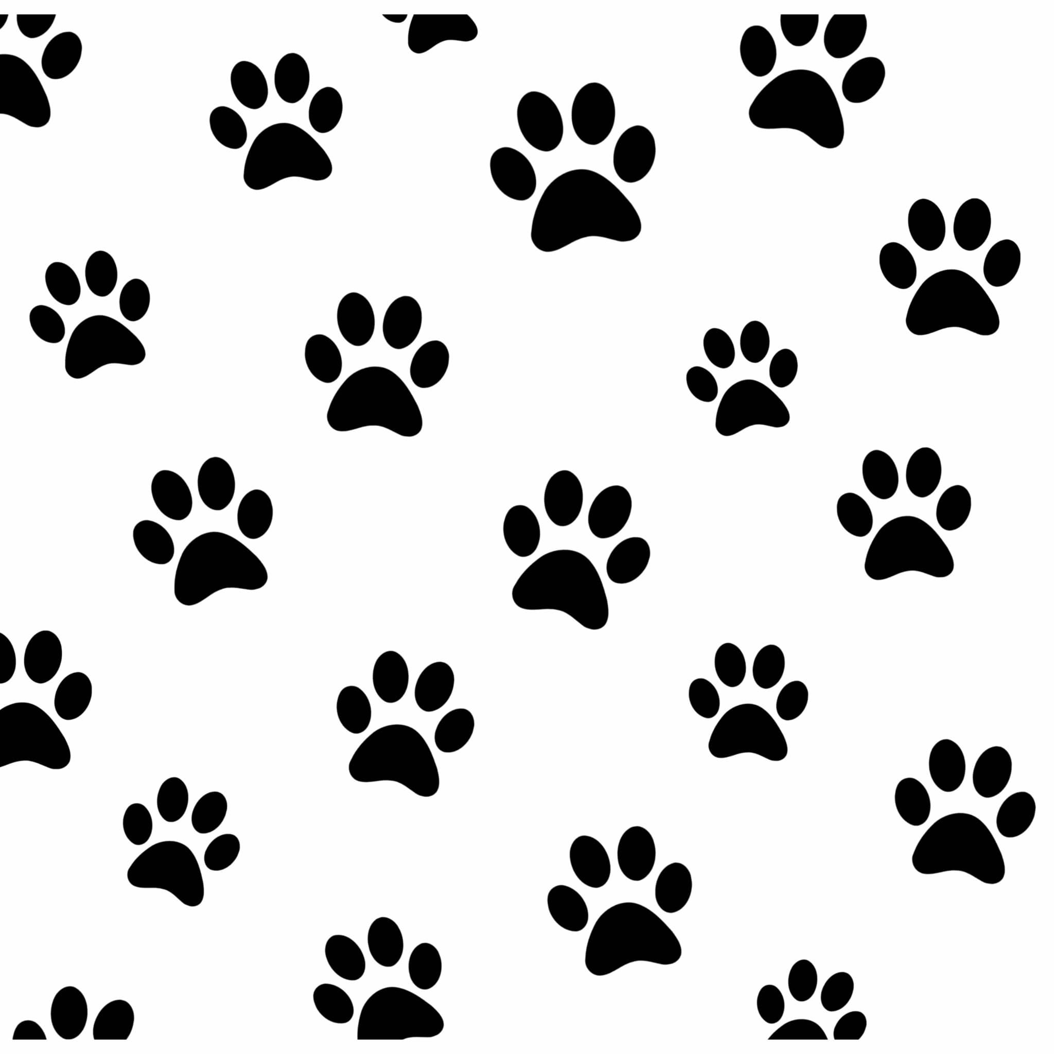 PRINTED (black and white) RELEASE PAPER 10 pc