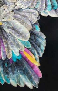 FEATHERS ASIDE 5D 40x50cm ROUND & SQUARE