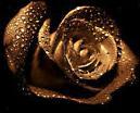 GOLD ROSE 20X20cm 5D FULL ROUND