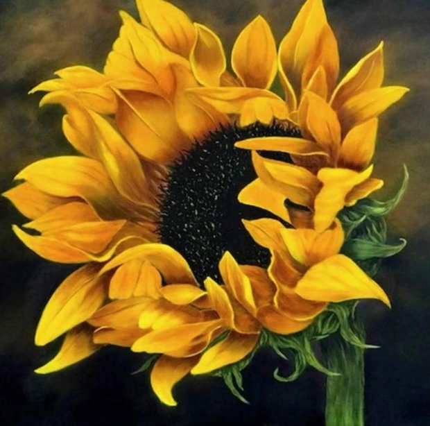 SUNFLOWER OPENING 40X40cm 5D ROUND & SQUARE